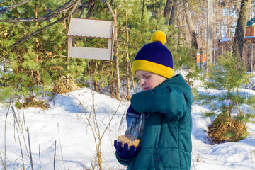 schoolboy hangs a feeder in the woods, and pours bird food
