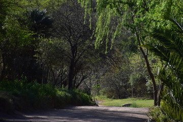 Sendero de montaña