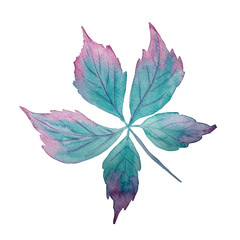 Watercolor leaf in neon turquoise and purple magenta colors.