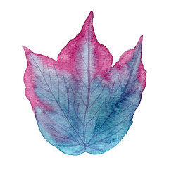 Watercolor leaf in neon turquoise and purple magenta colors