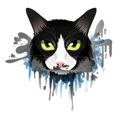 Black and white cat with green eyes is tinged with color stains on white background.
