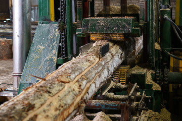 Image of timber machining at sawmill