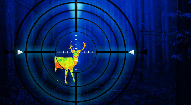 Hunting a deer in a forest at night 