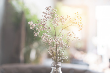 Selective focus of beautiful colorful flowers with summer bokeh background.
