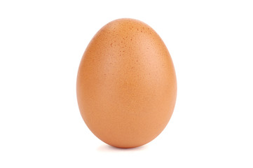 Chicken egg on white background