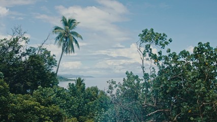 beautiful cinematic landscape of the remote and isolated southern pacific tropical island with clear sea and dense lush rainforest jungle and a small village with stunning seascape