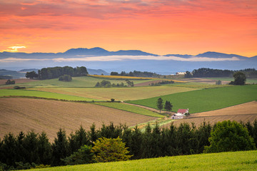 landscape with field and sunrise