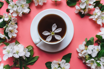 A cup of tea with saucer stands on a pink background surrounded by white flowers of an apple tree. The concept of spring tea and medicinal decoctions. Close up, top view.