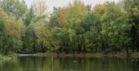 Autumn, Park, pond.