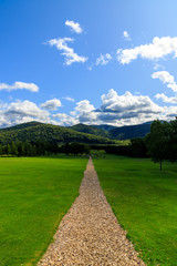 road in a field