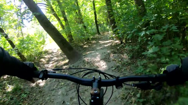 MTB bicycle on the trail in the bike park