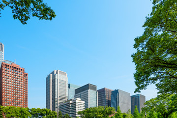新緑とビル群