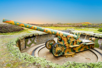 Gun at Les Landes
