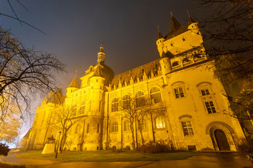 Fototapeta na wymiar Vajdahunyad castle in Budapest.