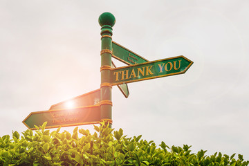 Text sign showing Thank You. Business photo showcasing replaying on something good or greetings with pleased way Green road sign on the crossroads with cloudy sky and green grass in the background