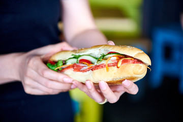 Vietnam Asia Food  Banh Mi Sandwich Streetfood