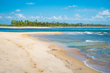 Bright scenic view of tropical sunlight rippling over golden sands in shallow waters lapping on the shore of an empty Brazilian beach in Bahia, Brazil