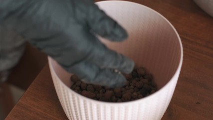 Close-up of a woman in black gloves pours into a flower pot drainage. Woman gardener transplants home flowers in a pot. High resolution. 4K