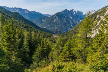 Natura selvaggia nelle alpi giulie in Slovenia