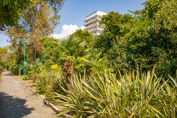 Places to relax on the Black Sea in the summer