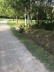 path in park