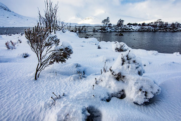 Fototapeta na wymiar Scottish, Highland, Rannoch Moor, bright snow frozen river, winter day, sunshine, blue sky beautiful clouds