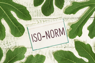 Text sign showing Iso Norm. Business photo showcasing An accepted standard or a way of doing things most showing agreed - obrazy, fototapety, plakaty