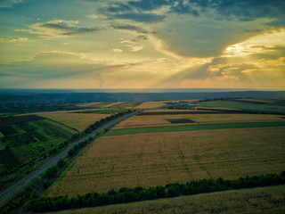 Fototapeta na wymiar Aerial drone view of grain fields, wheat during golden sunset. Agricultural pattern. Moldova republic of.
