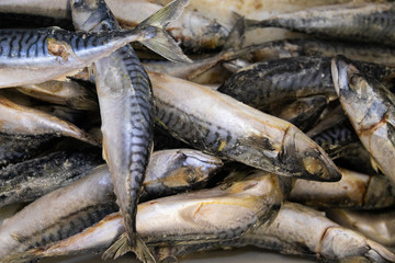 Macro of mackerel fish lying one on another at fish market, elevated view.