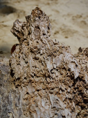 stone on beach
