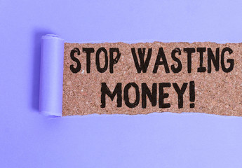 Conceptual hand writing showing Stop Wasting Money. Concept meaning advicing demonstrating or group...