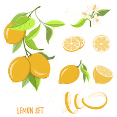Illustration of lemon fruits, isolated on white