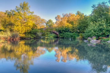 Papier Peint photo Pont de Gapstow Gapstow Bridge in Central Park