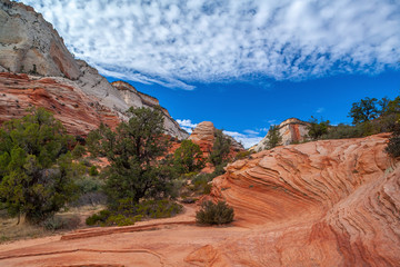 Zion National Park