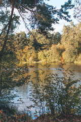 Obraz premium autumn landscape with lake and trees