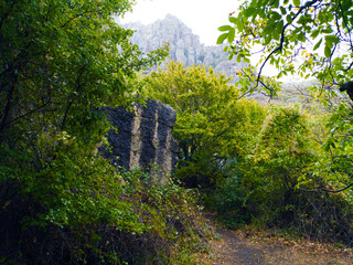 Demerdzhi mountain autumn rainy day