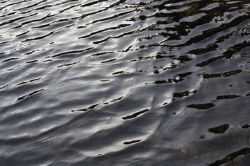 water ripples