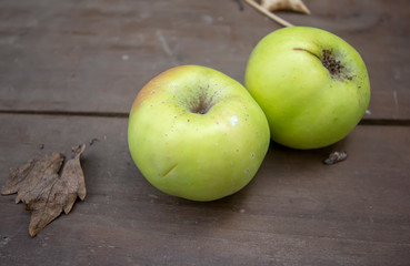 two green apples on a common background