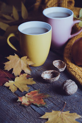 cozy autumn tea party