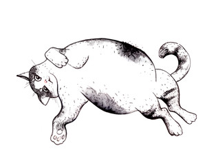 Cat relax drawing ink  - 292322610