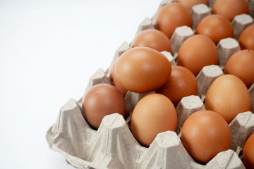 Raw brown chicken eggs in a paper grey crate carton isolated on white background.