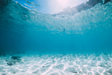 Blue ocean with white sand bottom underwater in Hawaii