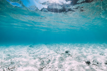 Blue ocean with white sand bottom underwater in Hawaii