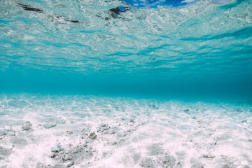 Fototapeta na wymiar Blue ocean with white sand bottom underwater in Hawaii