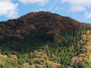 秋の山