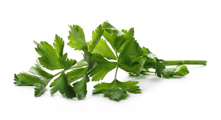 celery, fresh, herb, plant, stem, stalk, agriculture, aroma, background, bunch, condiment, cook, cooking, diet, eating, food, green, healthy, ingredient, isolated, kitchen, leaf, leaves, natural, natu