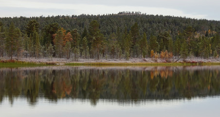 Fototapeta premium lake in the forest autumn colors