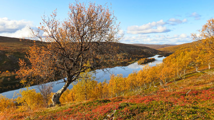 autumn in the mountains