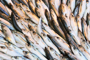 Sea fish background at the fish market close-up. 