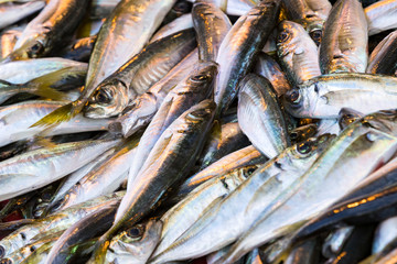 Fototapeta premium Sea fish background at the fish market close-up. 